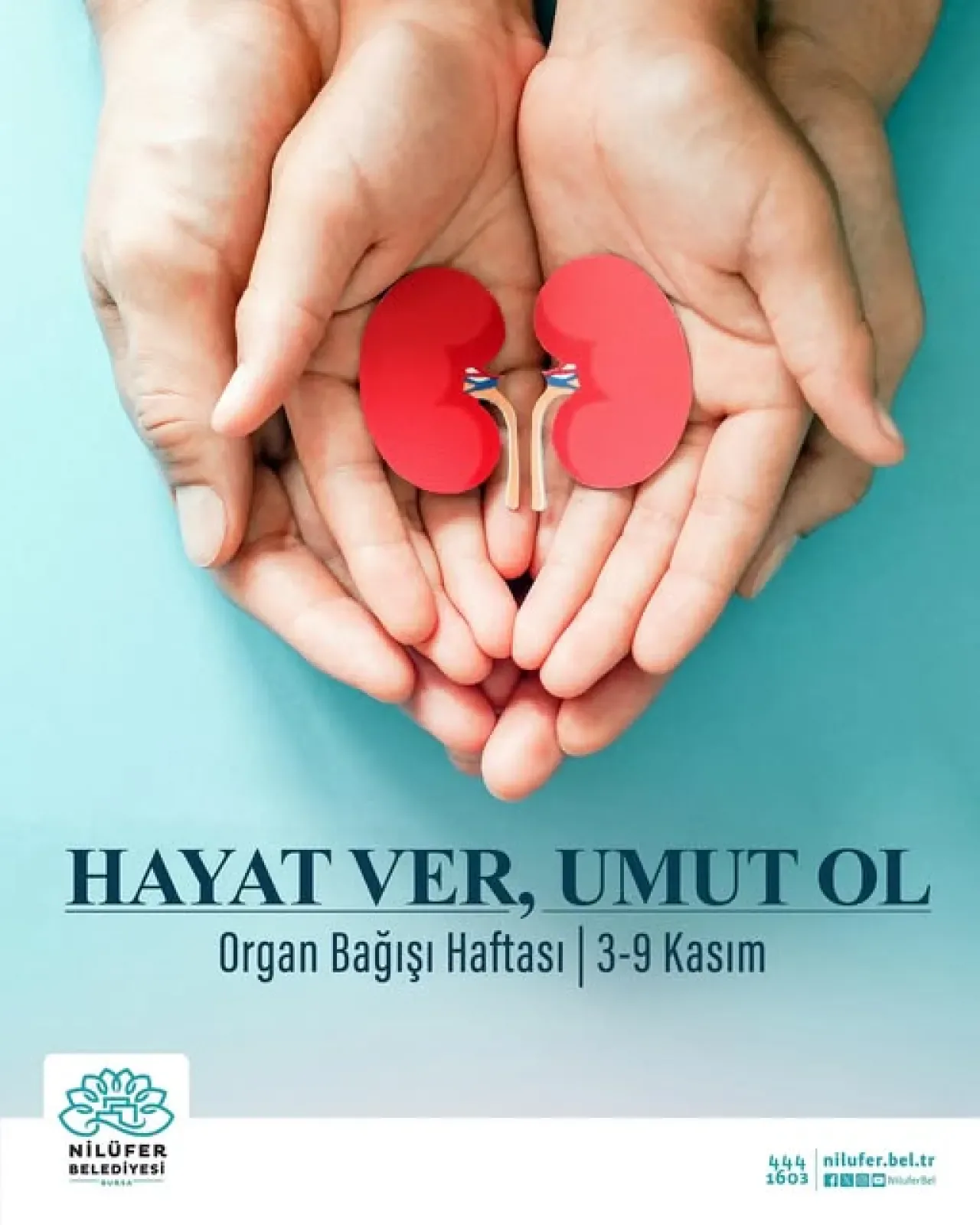 Organ Bağışı Haftası'nda Yeni Yaşamlar İçin Farkındalık Çağrısı Organ Bağışı Haftası'nda Yeni Yaşamlar İçin Farkındalık Çağrısı