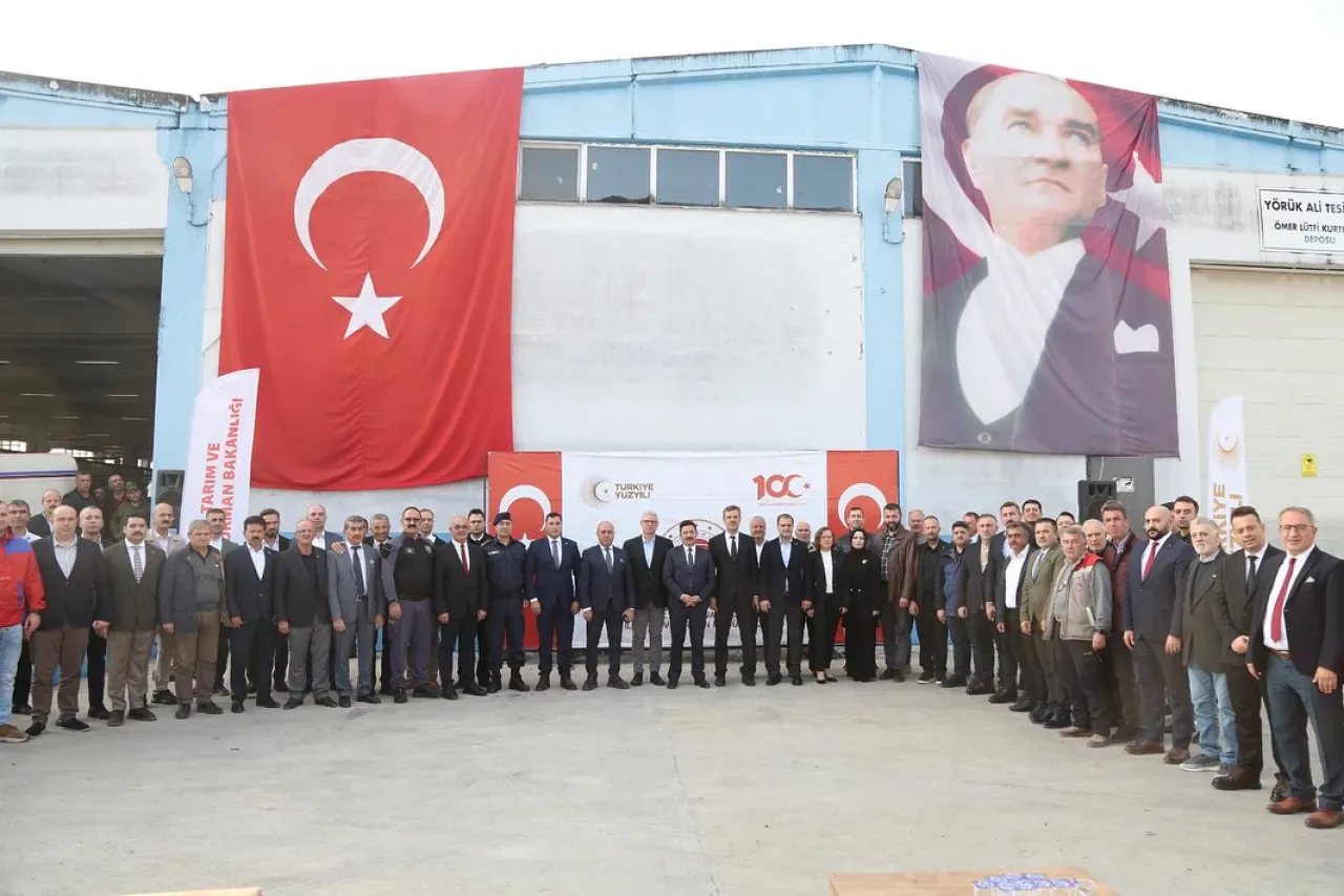 Mudanya'da Zeytin Hasadı Başladı Mudanya'da Zeytin Hasadı Başladı