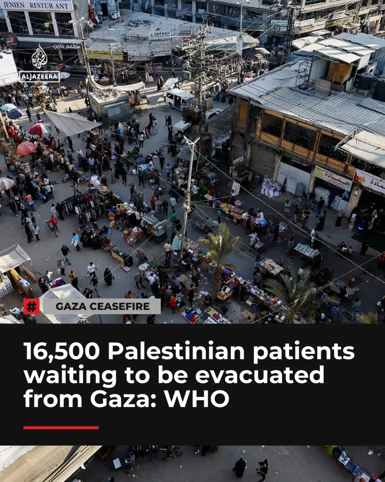WHO Rafah Geçişinin Acilen Açılması Çağrısını Yineledi WHO Rafah Geçişinin Acilen Açılması Çağrısını Yineledi