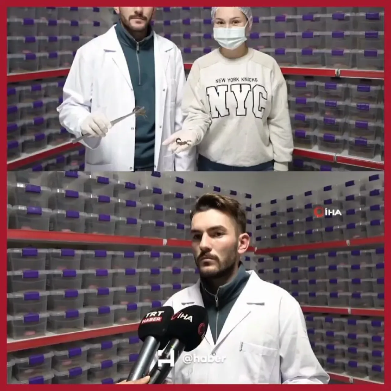 Niğdeli Girişimci Kardeşler, Akrep Zehrini 5 Ülkeye İhraç Ediyor Niğdeli Girişimci Kardeşler, Akrep Zehrini 5 Ülkeye İhraç Ediyor