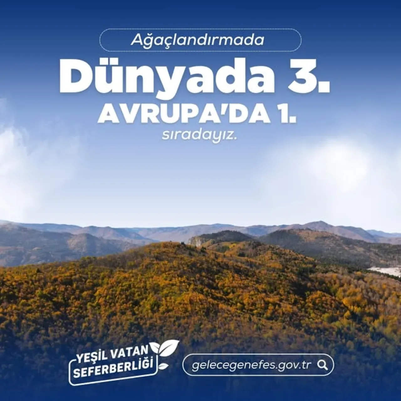 Türkiye, Avrupa'da Birinci, Dünyada Dördüncü Sırada: Orman Varlığı Artıyor Türkiye, Avrupa'da Birinci, Dünyada Dördüncü Sırada: Orman Varlığı Artıyor