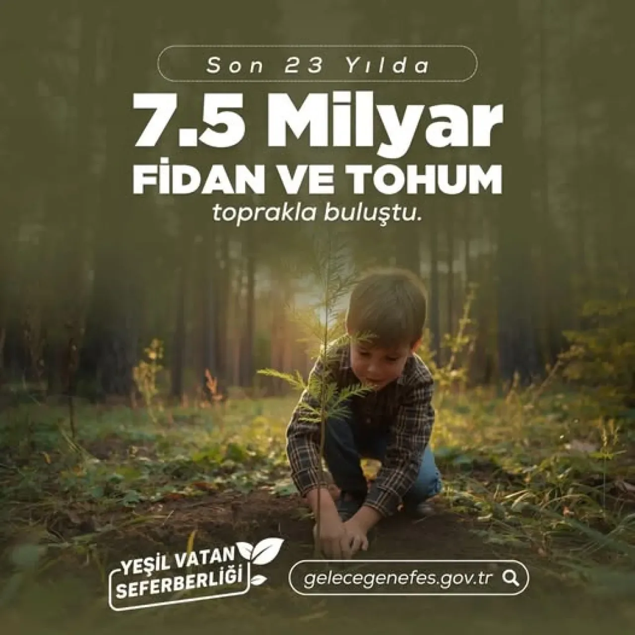 11 Kasım'da Geleceğe Nefes: Gaziantep'te Fidanlar Toprakla Buluşuyor 11 Kasım'da Geleceğe Nefes: Gaziantep'te Fidanlar Toprakla Buluşuyor