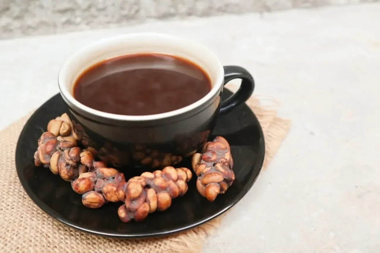 Kopi Luwak: Dünyanın En Pahalı Kahvesinin Sıra Dışı Üretim Hikayesi Kopi Luwak: Dünyanın En Pahalı Kahvesinin Sıra Dışı Üretim Hikayesi
