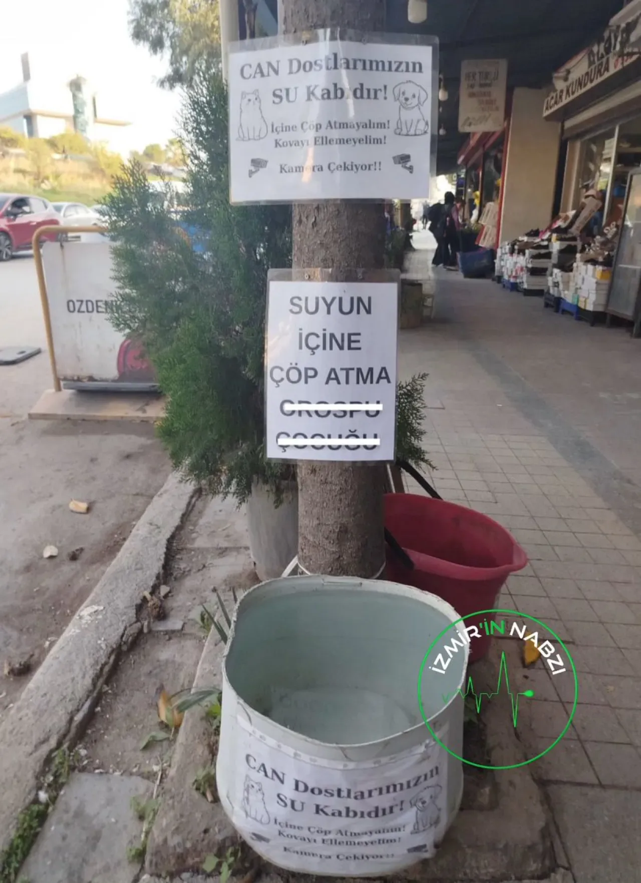 İzmir'de Esnaftan Örnek Davranış: Sokak Hayvanları İçin Su Kaplarına Çöp Atanlara Kibarca Uyarı İzmir'de Esnaftan Örnek Davranış: Sokak Hayvanları İçin Su Kaplarına Çöp Atanlara Kibarca Uyarı