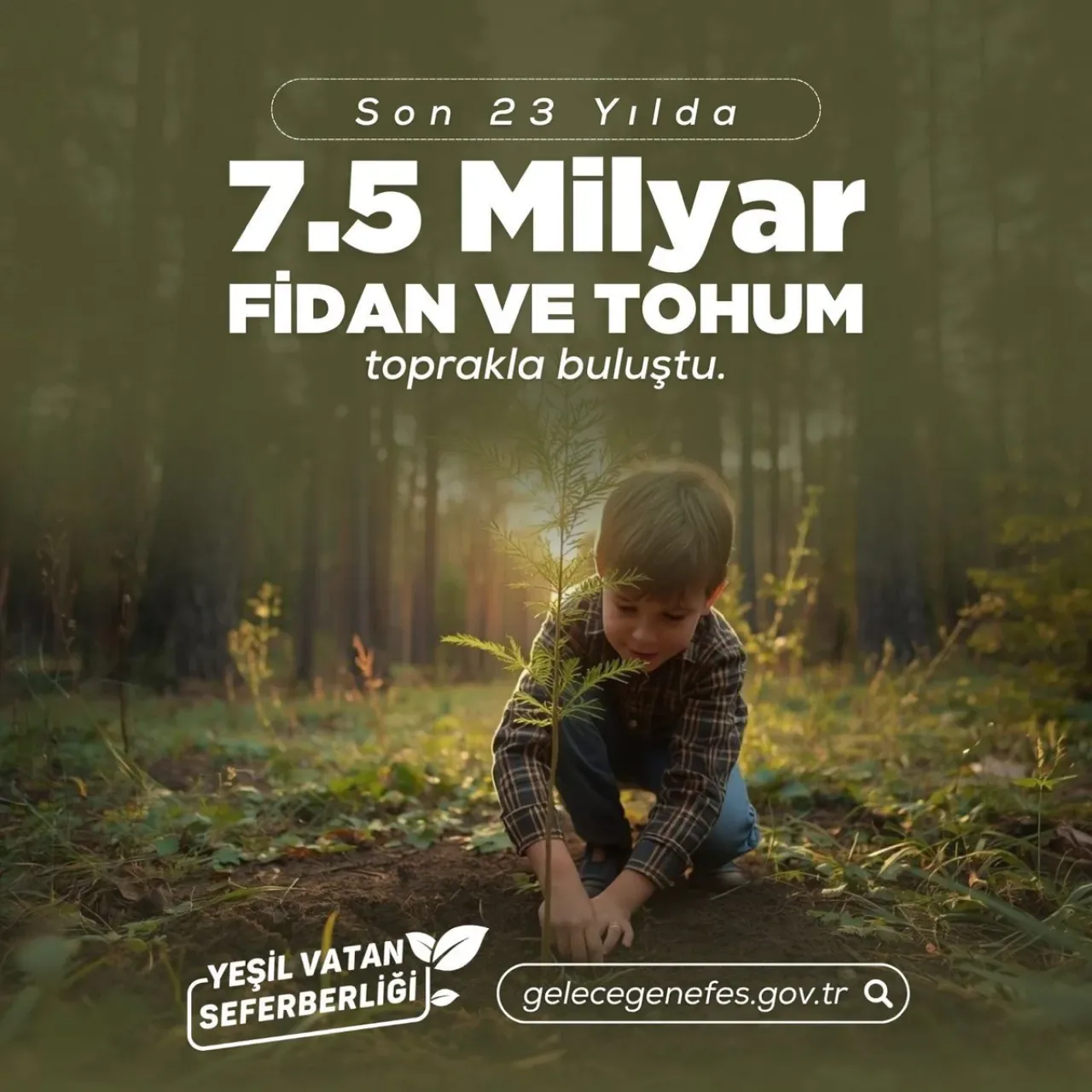 Cumhurbaşkanı Erdoğan Liderliğinde 550 Milyon Fidan Toprakla Buluşuyor Cumhurbaşkanı Erdoğan Liderliğinde 550 Milyon Fidan Toprakla Buluşuyor
