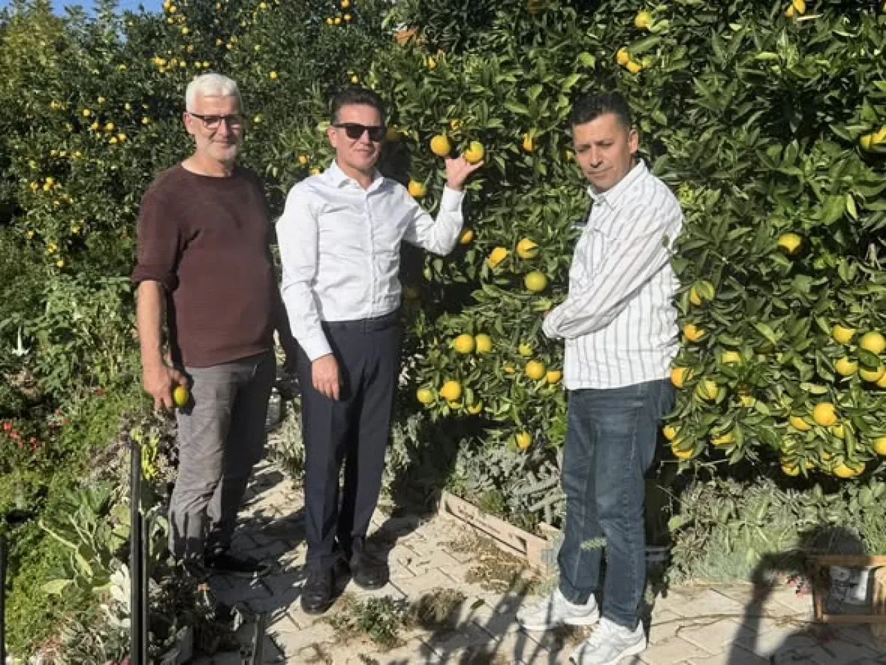 Antalya Milletvekili Atay Uslu'nun Portakal Bahçelerinde Enerji ve Turizm Vurgusu Antalya Milletvekili Atay Uslu'nun Portakal Bahçelerinde Enerji ve Turizm Vurgusu