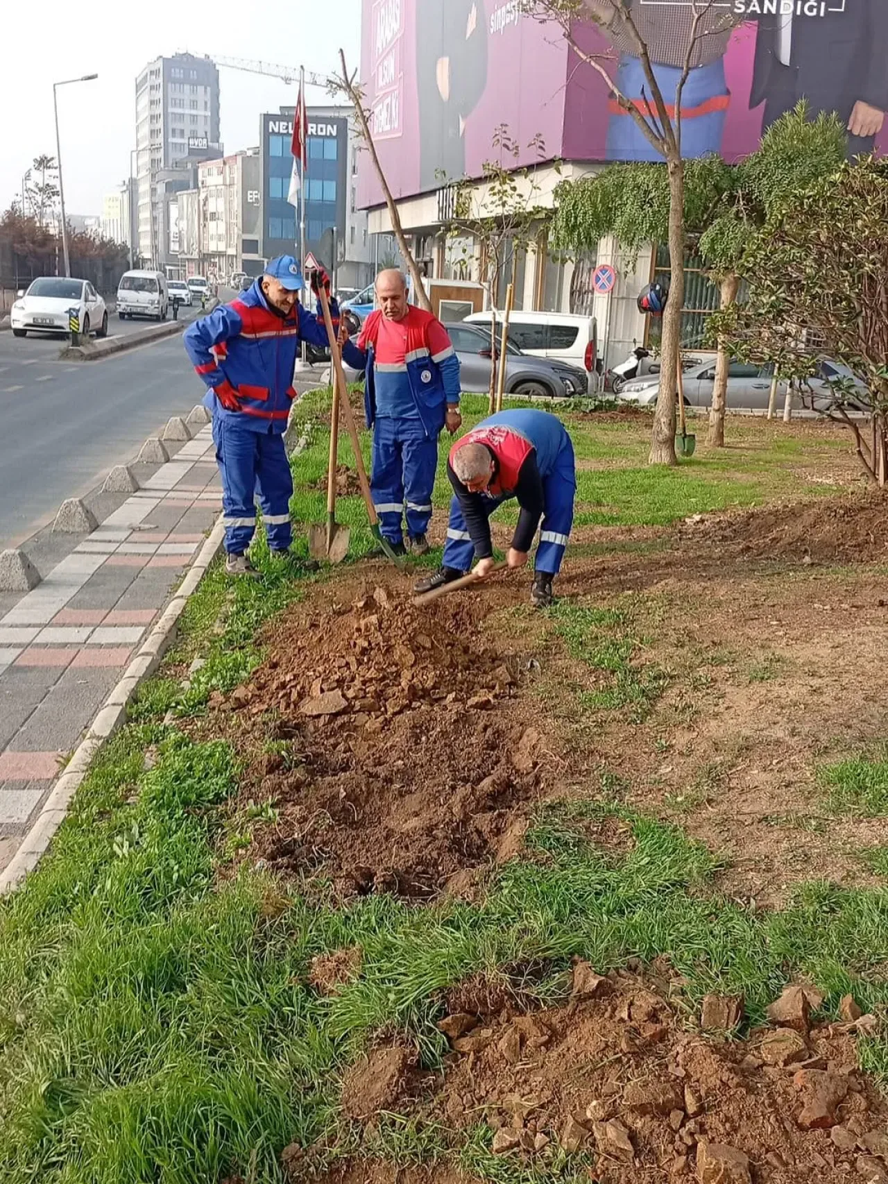 Kağıthane'de Doğa İçin Nefes Olacak Ağaç Dikim Çalışmaları Başladı Kağıthane'de Doğa İçin Nefes Olacak Ağaç Dikim Çalışmaları Başladı