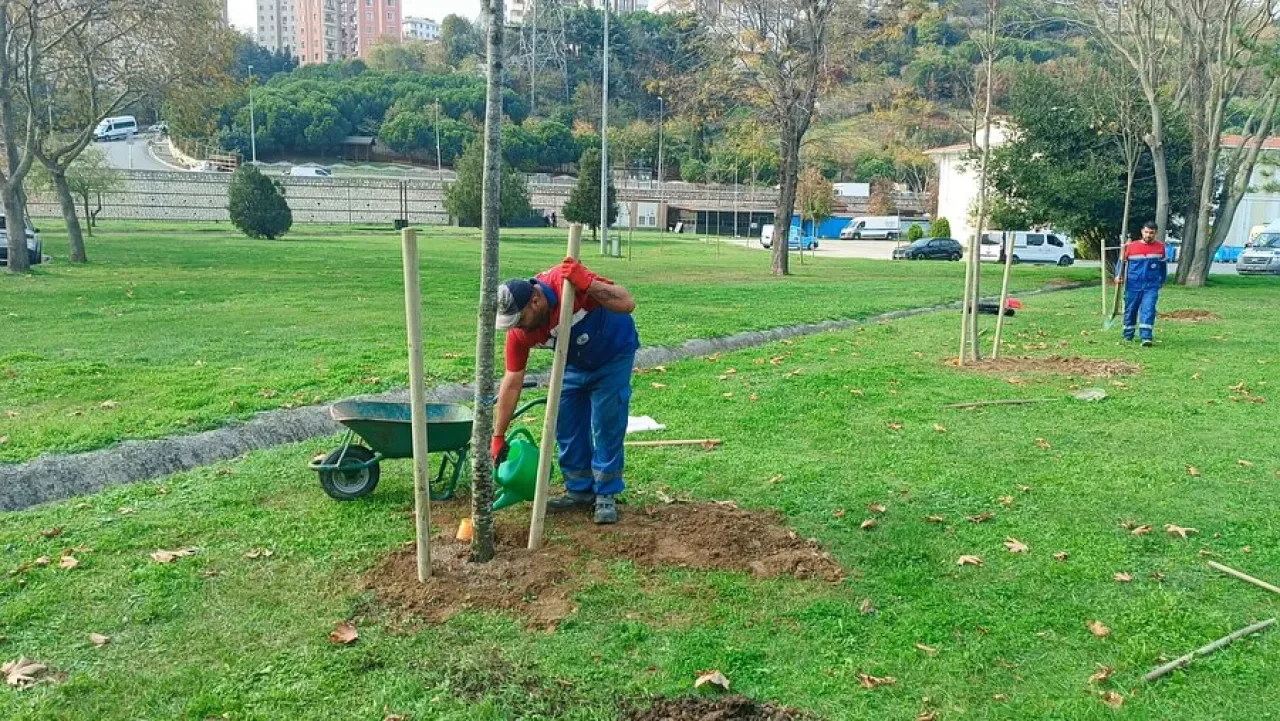 Kâğıthane'de Yeni Doğan Her Bebeğe Ağaç Dikiliyor Kâğıthane'de Yeni Doğan Her Bebeğe Ağaç Dikiliyor