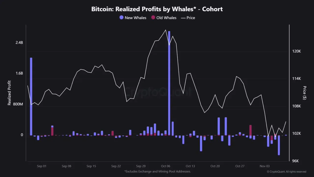 Yeni Balinalar Bitcoin Düşüşünde Kayıp Yaşıyor Yeni Balinalar Bitcoin Düşüşünde Kayıp Yaşıyor