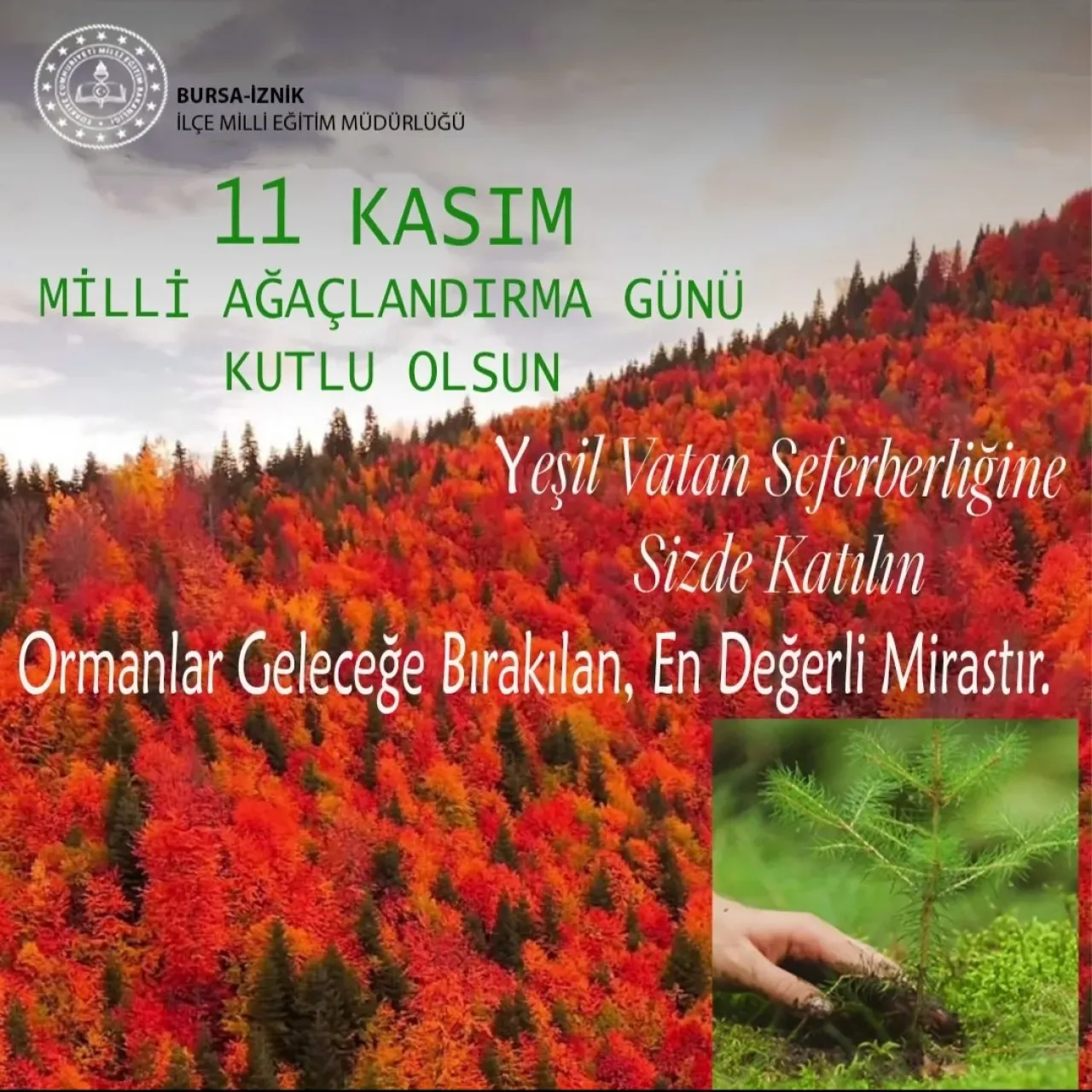 Bursa İznik'te "Yeşil Vatan Seferberliği" Kapsamında Fidanlar Toprakla Buluştu Bursa İznik'te "Yeşil Vatan Seferberliği" Kapsamında Fidanlar Toprakla Buluştu