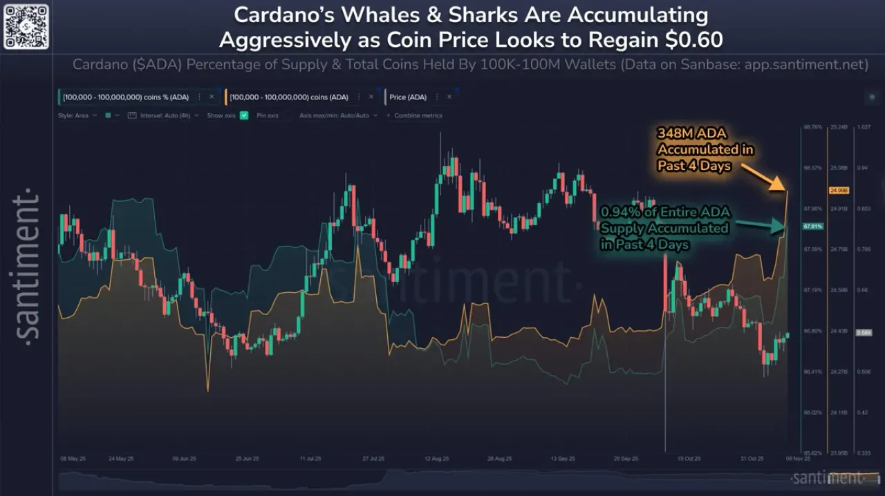 Cardano (ADA) Büyük Yatırımcıları Fiyat Düşüşünü Fırsat Olarak Gördü Cardano (ADA) Büyük Yatırımcıları Fiyat Düşüşünü Fırsat Olarak Gördü