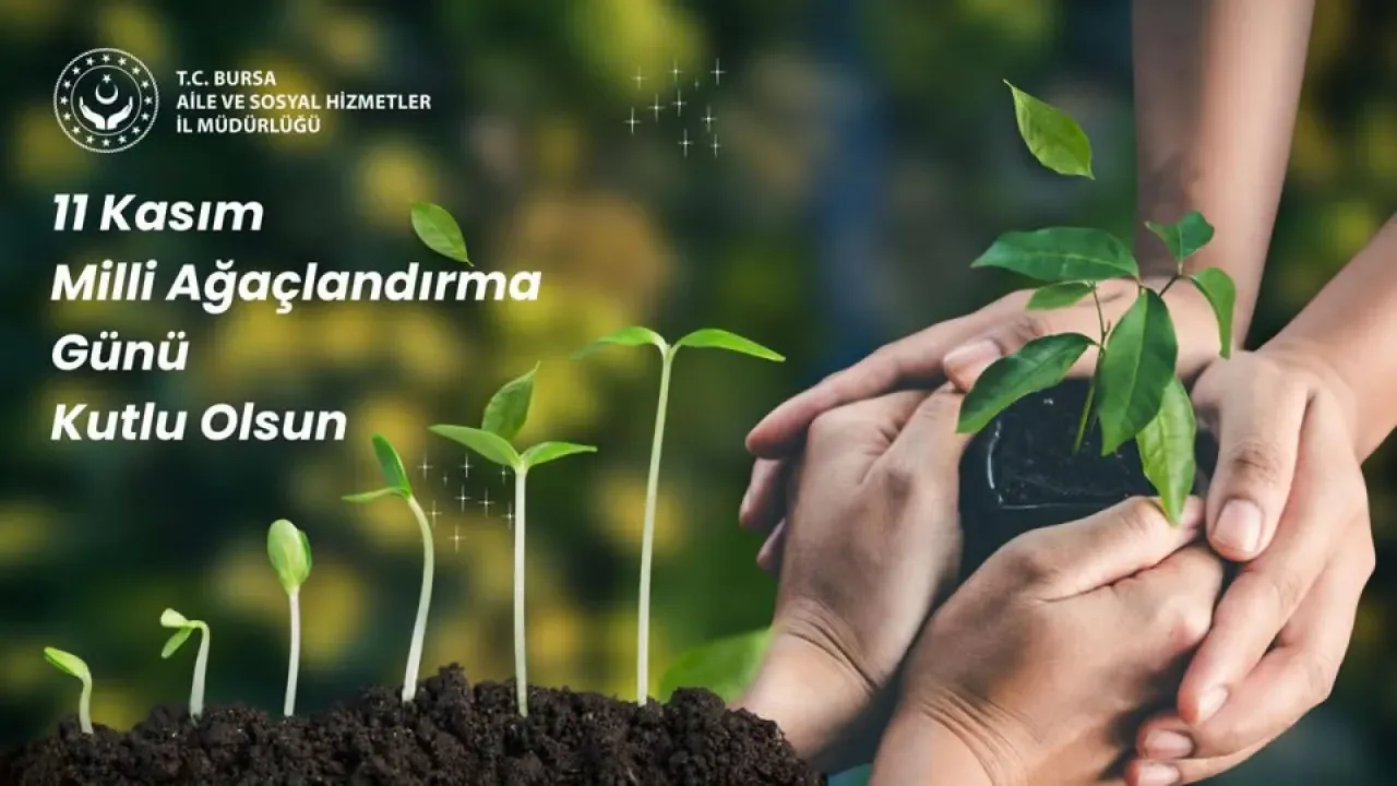 Bursa'da 11 Kasım Milli Ağaçlandırma Günü'nün Önemi Vurgulandı Bursa'da 11 Kasım Milli Ağaçlandırma Günü'nün Önemi Vurgulandı
