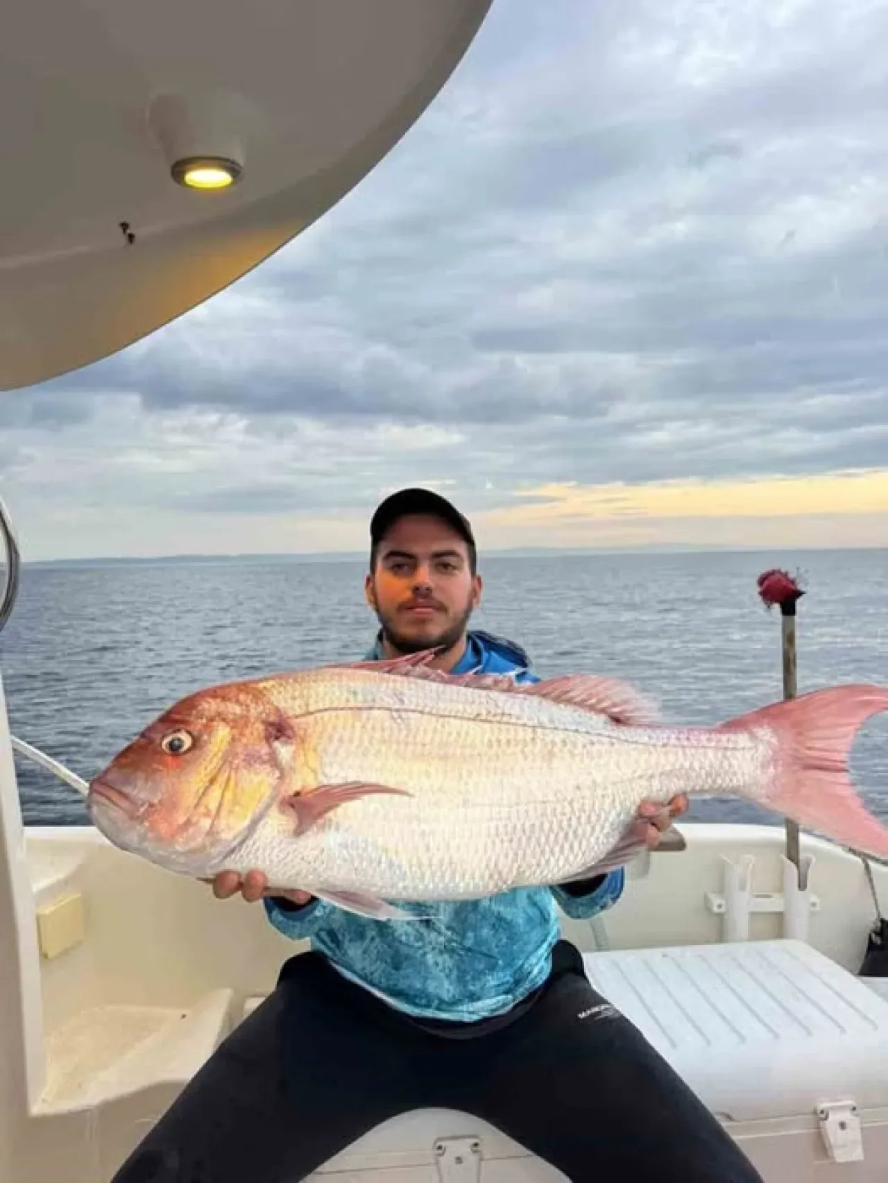 Gelibolu'da Balıkçıların Ağına 12 Kilogramlık Dev Mercan Balığı Takıldı Gelibolu'da Balıkçıların Ağına 12 Kilogramlık Dev Mercan Balığı Takıldı