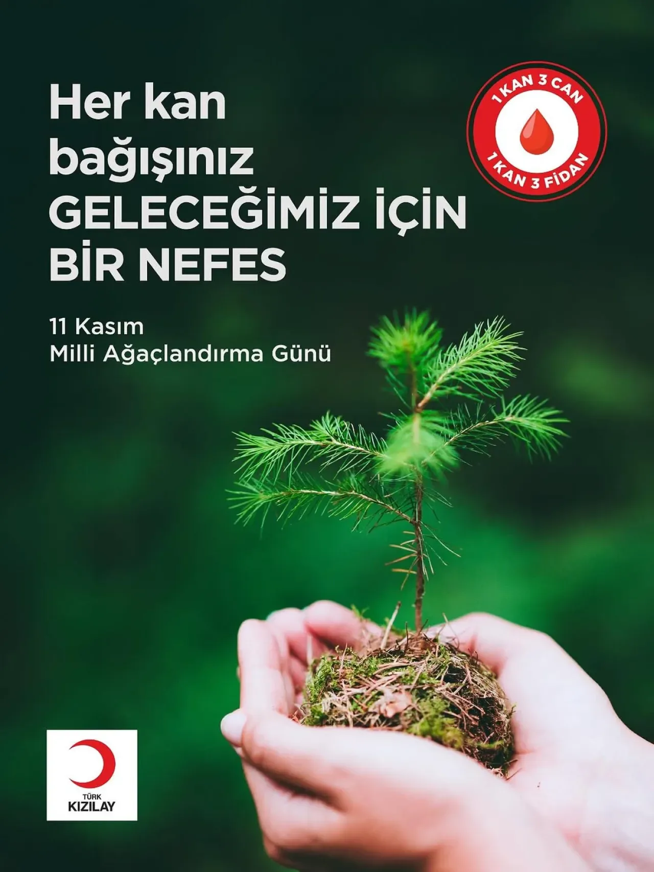 Türk Kızılay Ataşehir, 11 Kasım'da Öğrencilerle Fidanları Toprakla Buluşturuyor Türk Kızılay Ataşehir, 11 Kasım'da Öğrencilerle Fidanları Toprakla Buluşturuyor