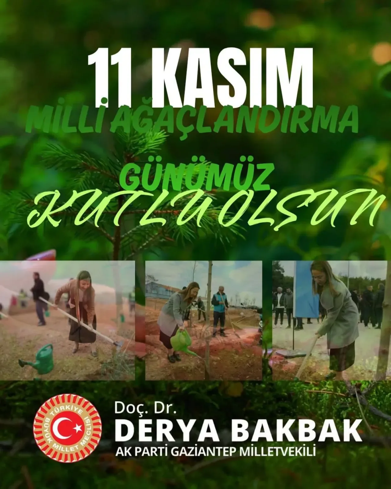 11 Kasım Milli Ağaçlandırma Günü'nde Türkiye'nin Yeşil Vatan Hedefi 11 Kasım Milli Ağaçlandırma Günü'nde Türkiye'nin Yeşil Vatan Hedefi