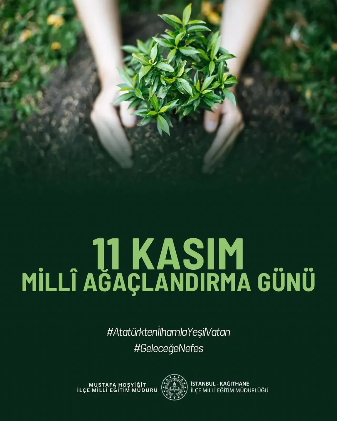 Kâğıthane'de 10 Kasım'da Başlayan Fidan Dikimleri 11 Kasım'da da Coşkuyla Sürüyor Kâğıthane'de 10 Kasım'da Başlayan Fidan Dikimleri 11 Kasım'da da Coşkuyla Sürüyor