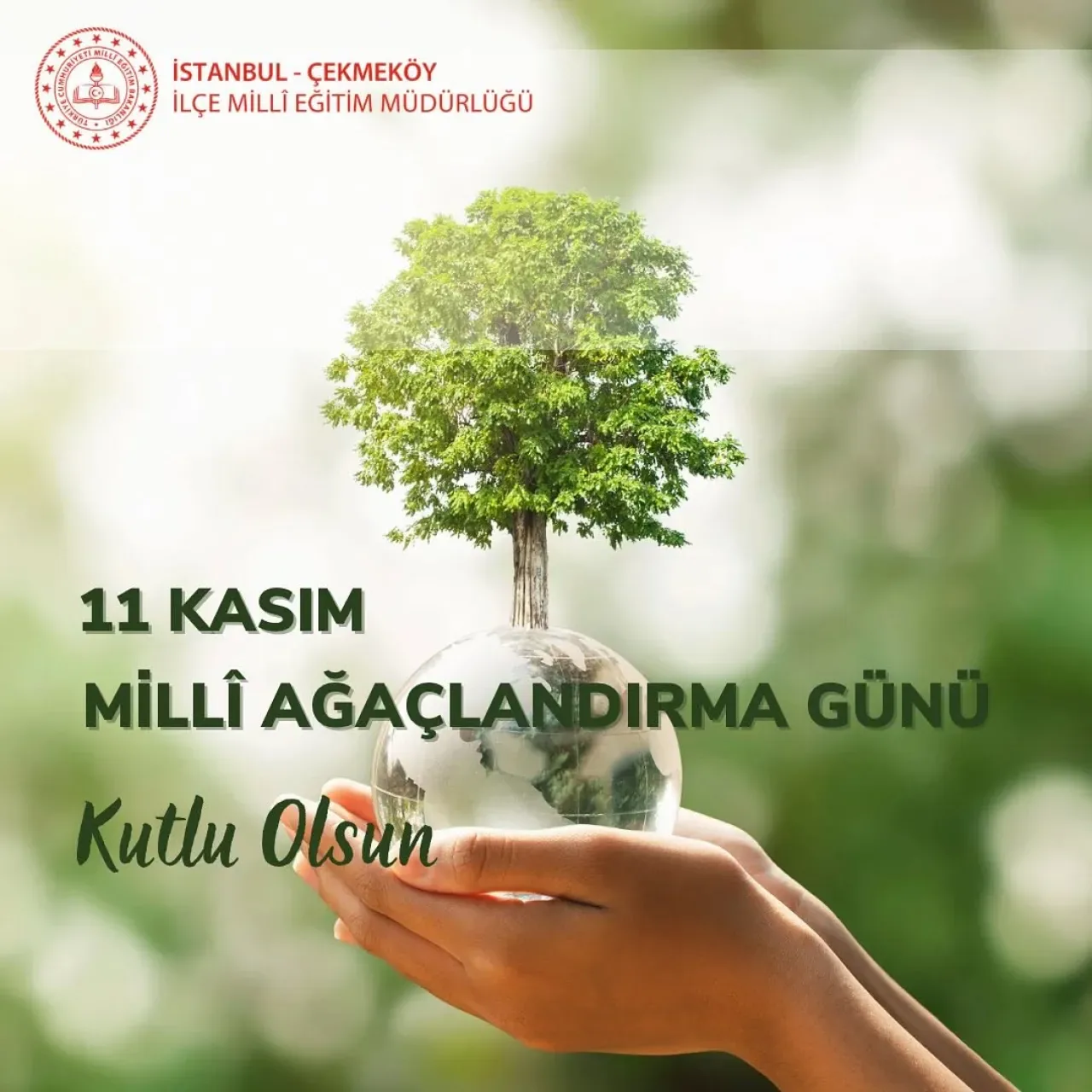 Çekmeköy'de Milli Ağaçlandırma Günü'nde Fidanlar Toprakla Buluştu Çekmeköy'de Milli Ağaçlandırma Günü'nde Fidanlar Toprakla Buluştu