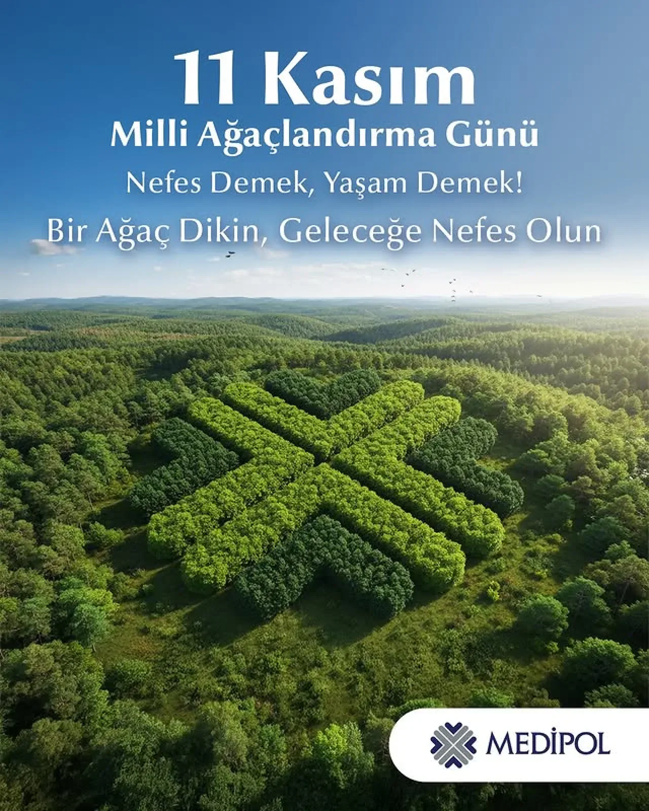 Medipol Sağlık Grubu, 11 Kasım Milli Ağaçlandırma Günü'nde Fidan Dikimine Dikkat Çekti Medipol Sağlık Grubu, 11 Kasım Milli Ağaçlandırma Günü'nde Fidan Dikimine Dikkat Çekti