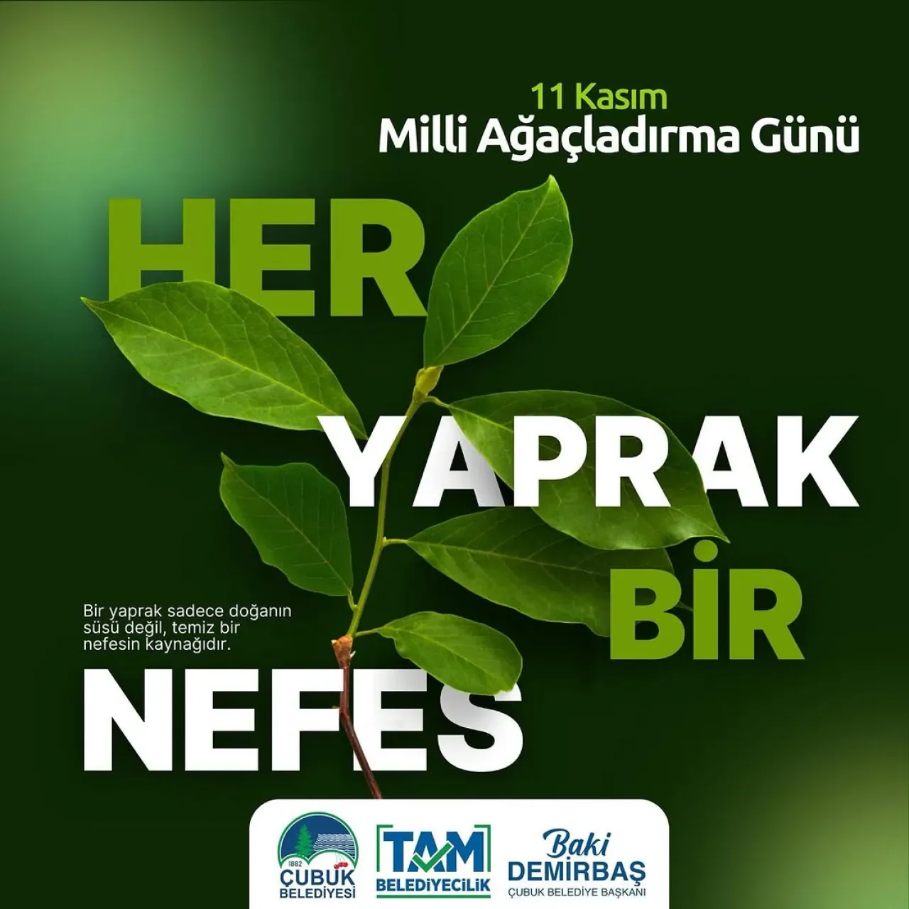 Çubuk'ta 11 Kasım Milli Ağaçlandırma Günü'nde Geleceğe Nefes Çubuk'ta 11 Kasım Milli Ağaçlandırma Günü'nde Geleceğe Nefes