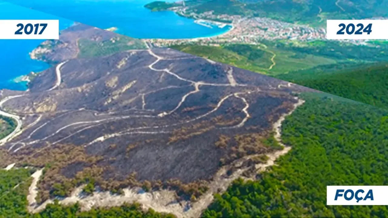 İzmir'de Yeşil Vatan Seferberliği Kapsamında 115 Bin Fidan Toprakla Buluştu İzmir'de Yeşil Vatan Seferberliği Kapsamında 115 Bin Fidan Toprakla Buluştu