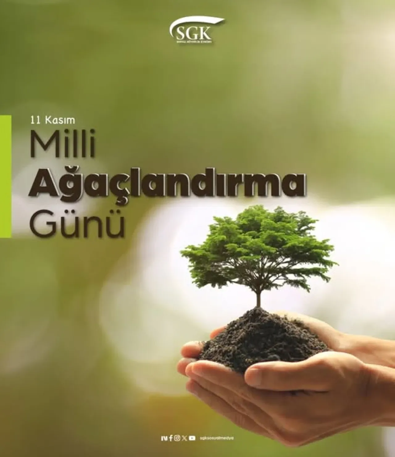 11 Kasım Milli Ağaçlandırma Günü ile Geleceğe Nefes Olun 11 Kasım Milli Ağaçlandırma Günü ile Geleceğe Nefes Olun