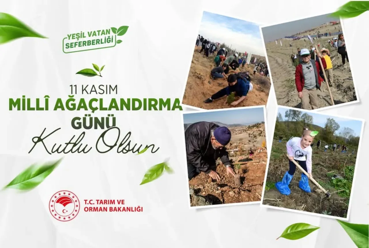 Mudanya'da 11 Kasım Millî Ağaçlandırma Günü Coşkuyla Kutlandı Mudanya'da 11 Kasım Millî Ağaçlandırma Günü Coşkuyla Kutlandı