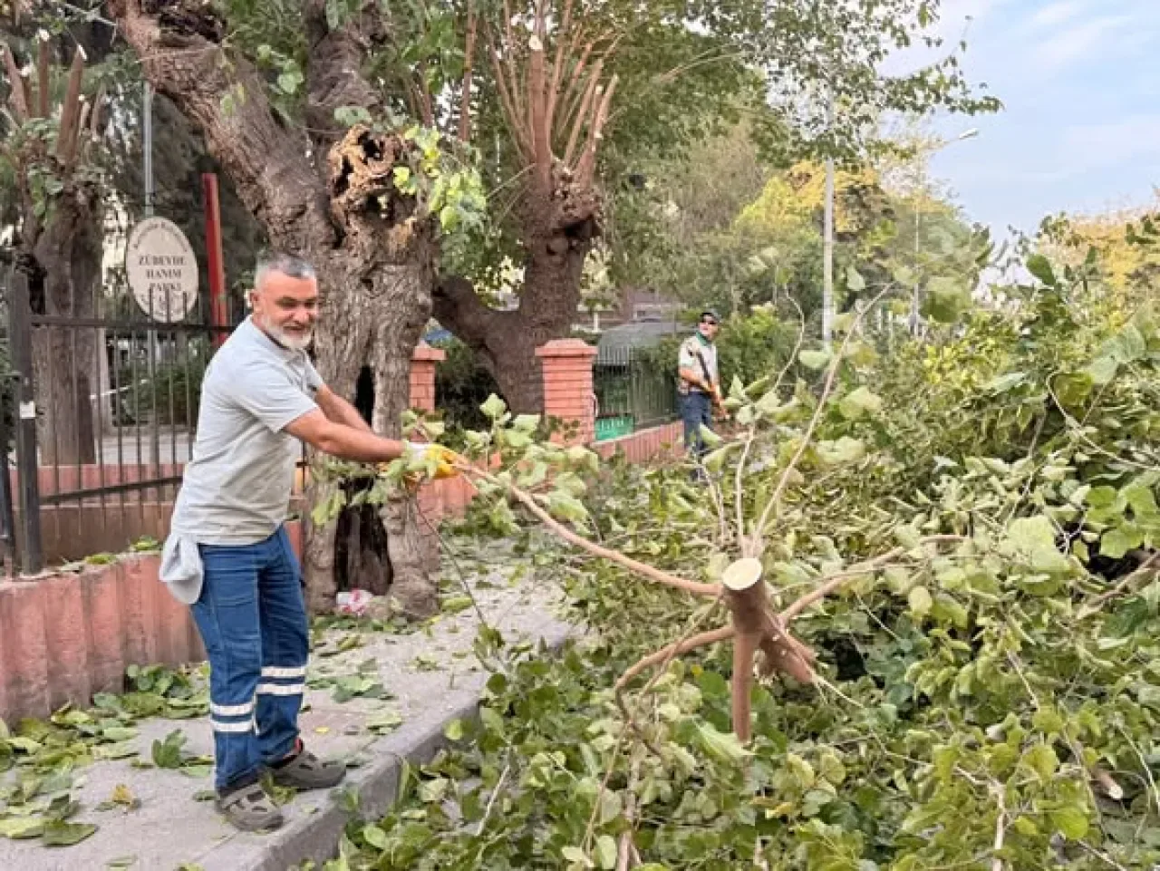 Karşıyaka'da Daha Yeşil ve Yaşanabilir Bir Şehir İçin Budama Çalışmaları Sürüyor Karşıyaka'da Daha Yeşil ve Yaşanabilir Bir Şehir İçin Budama Çalışmaları Sürüyor