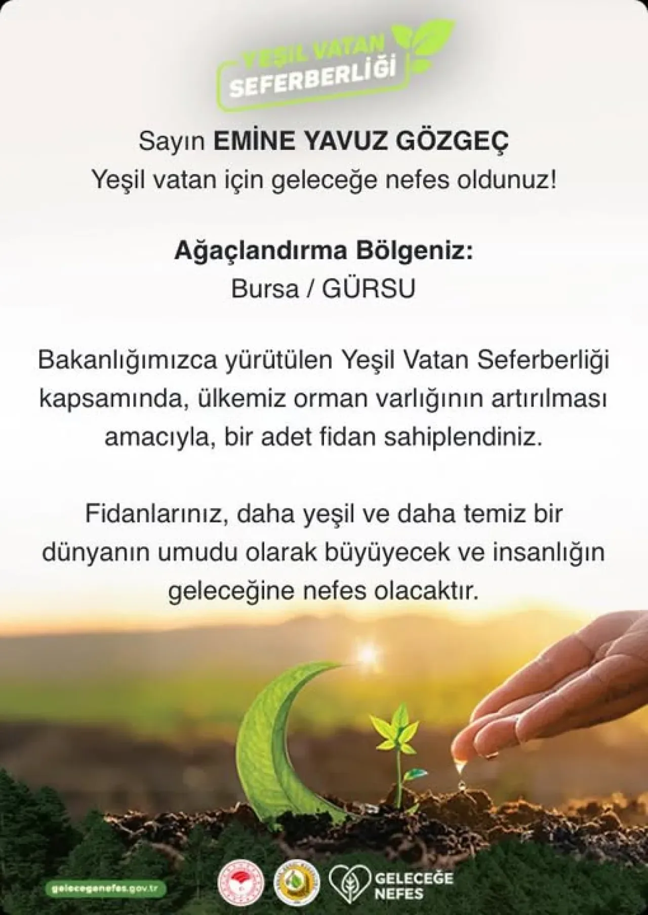 Türkiye Genelinde Yeşil Vatan Seferberliği Kapsamında Milyonlarca Fidan Toprakla Buluştu Türkiye Genelinde Yeşil Vatan Seferberliği Kapsamında Milyonlarca Fidan Toprakla Buluştu