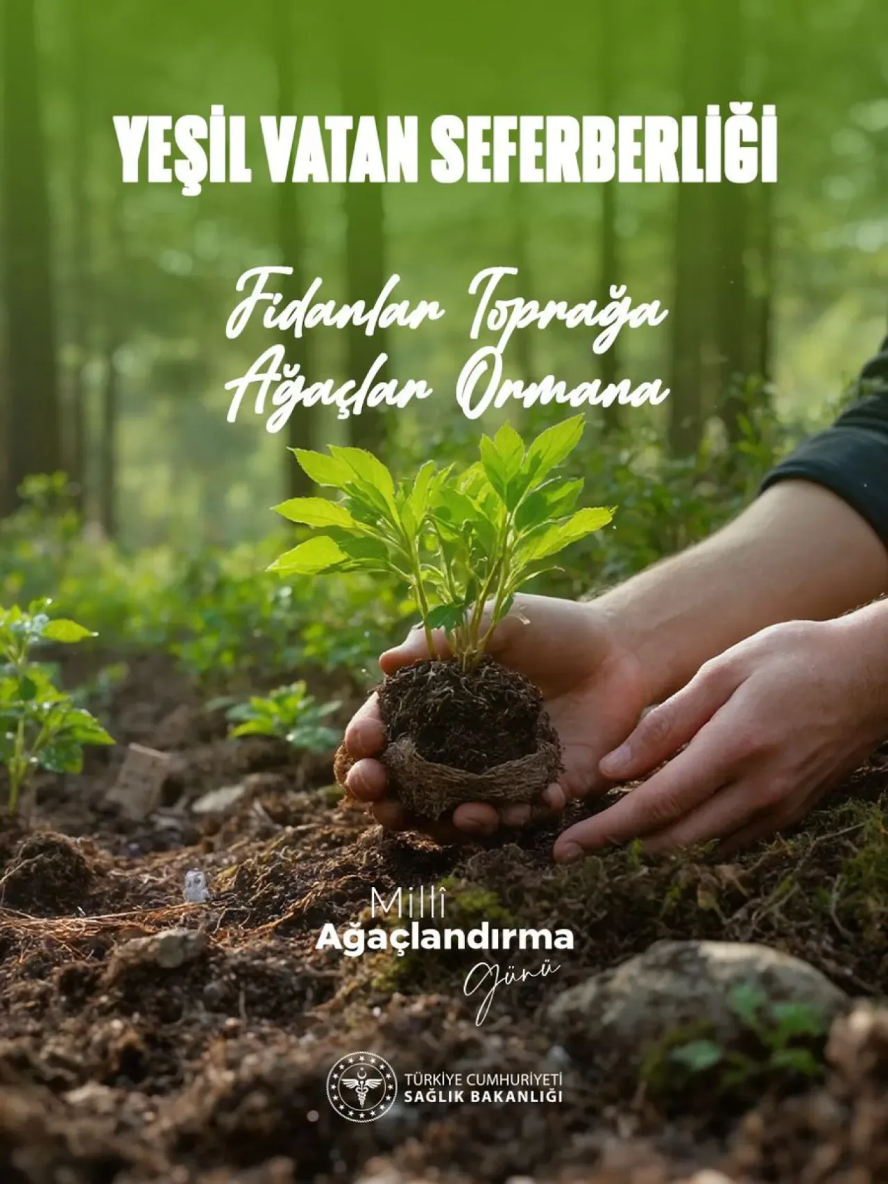 Geleceğe Nefes: Yeşil Vatan Seferberliği Kapsamında Fidanlar Toprakla Buluşuyor Geleceğe Nefes: Yeşil Vatan Seferberliği Kapsamında Fidanlar Toprakla Buluşuyor