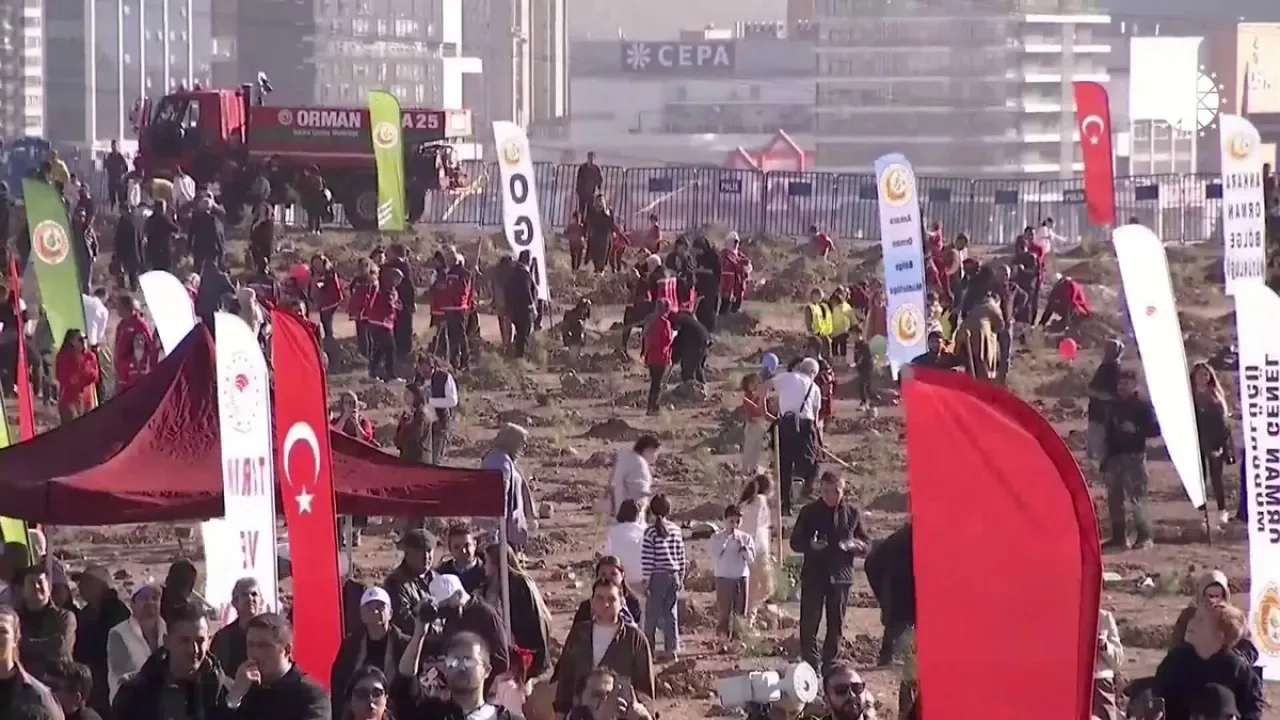 Türkiye Orman Varlığını Artırarak Dünya Dördüncüsü Oldu Türkiye Orman Varlığını Artırarak Dünya Dördüncüsü Oldu