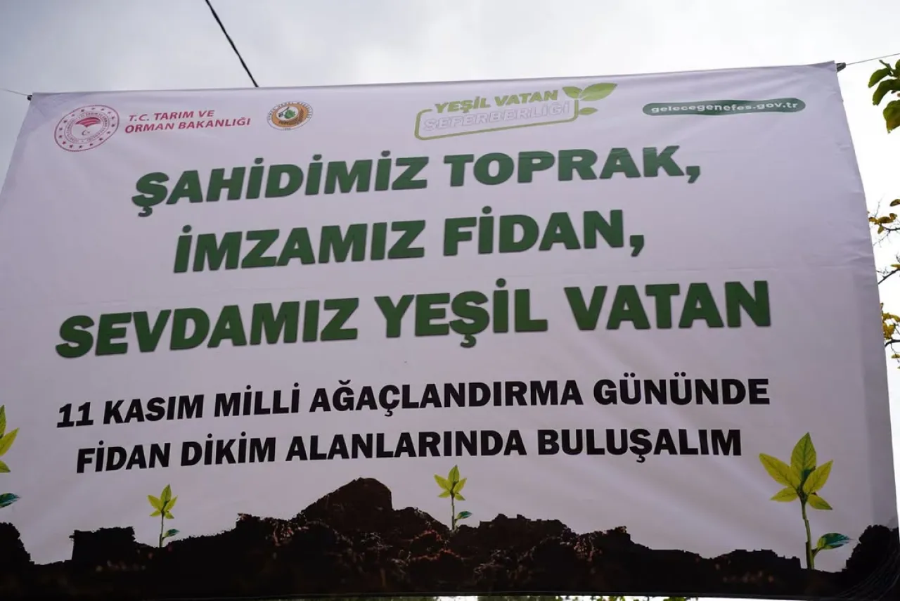 Orhangazi'de 11 Kasım Milli Ağaçlandırma Günü Coşkusu: Yüzlerce Fidan Toprakla Buluştu Orhangazi'de 11 Kasım Milli Ağaçlandırma Günü Coşkusu: Yüzlerce Fidan Toprakla Buluştu