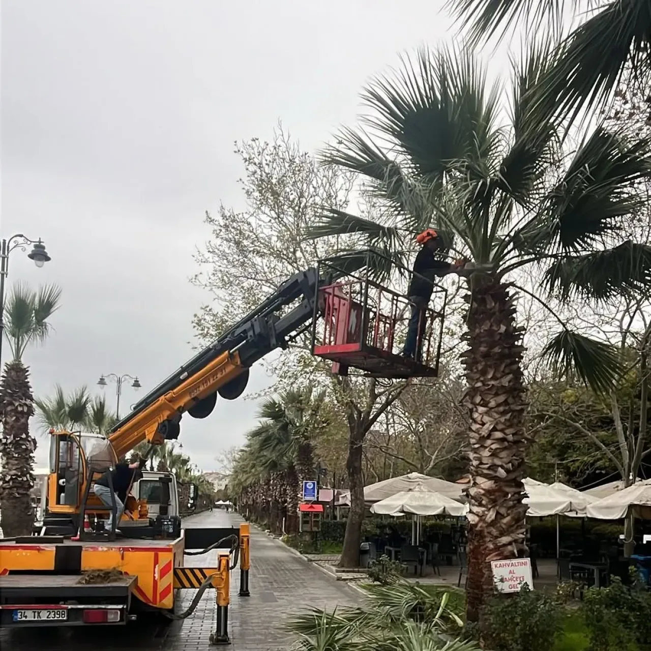 Silivri'de Park ve Yeşil Alanlar Kışa Hazırlanıyor Silivri'de Park ve Yeşil Alanlar Kışa Hazırlanıyor