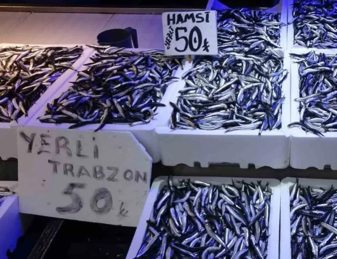 Hamsi Fiyatlarına Şok: Balıkçı Tezgahlarında Kilosu 50 TL'ye Düştü Hamsi Fiyatlarına Şok: Balıkçı Tezgahlarında Kilosu 50 TL'ye Düştü