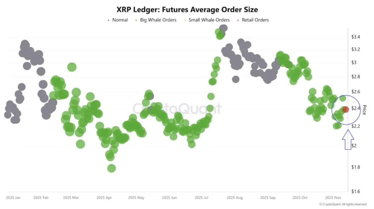 XRP ETF'te Büyük Yatırımcılar Erken Hareket Etti XRP ETF'te Büyük Yatırımcılar Erken Hareket Etti
