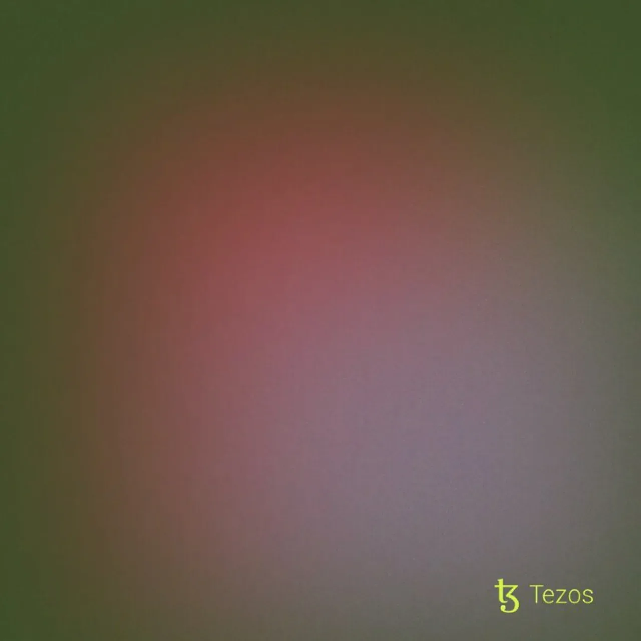 Tezos Blockchaininde Düzenlenen Fotoğraf Yarışmasının Kazananları Paris'te Sergileniyor Tezos Blockchaininde Düzenlenen Fotoğraf Yarışmasının Kazananları Paris'te Sergileniyor