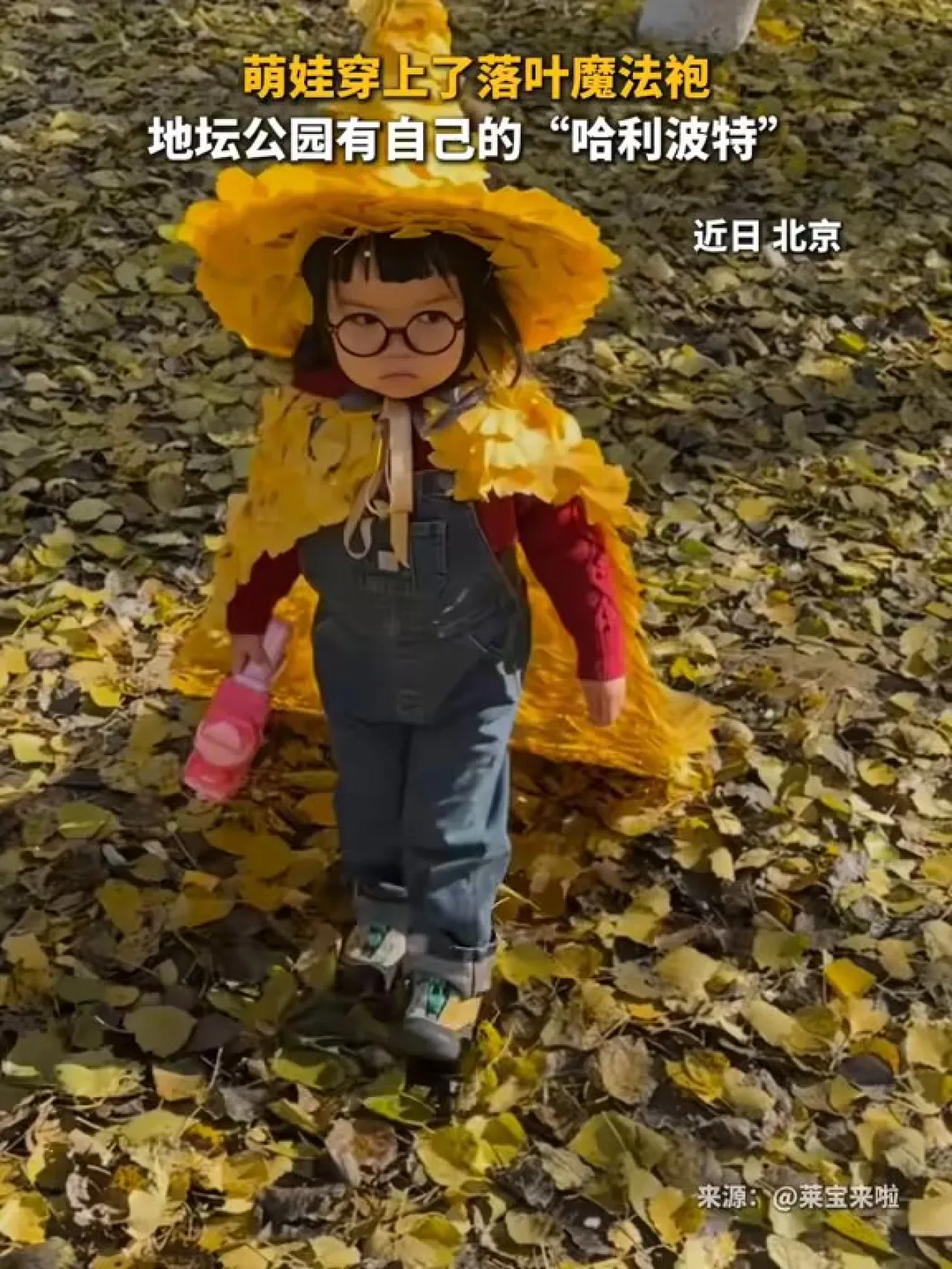 Ditan Park'ta Harry Potter Temalı Yaprak Elbise İlgi Görüyor Ditan Park'ta Harry Potter Temalı Yaprak Elbise İlgi Görüyor