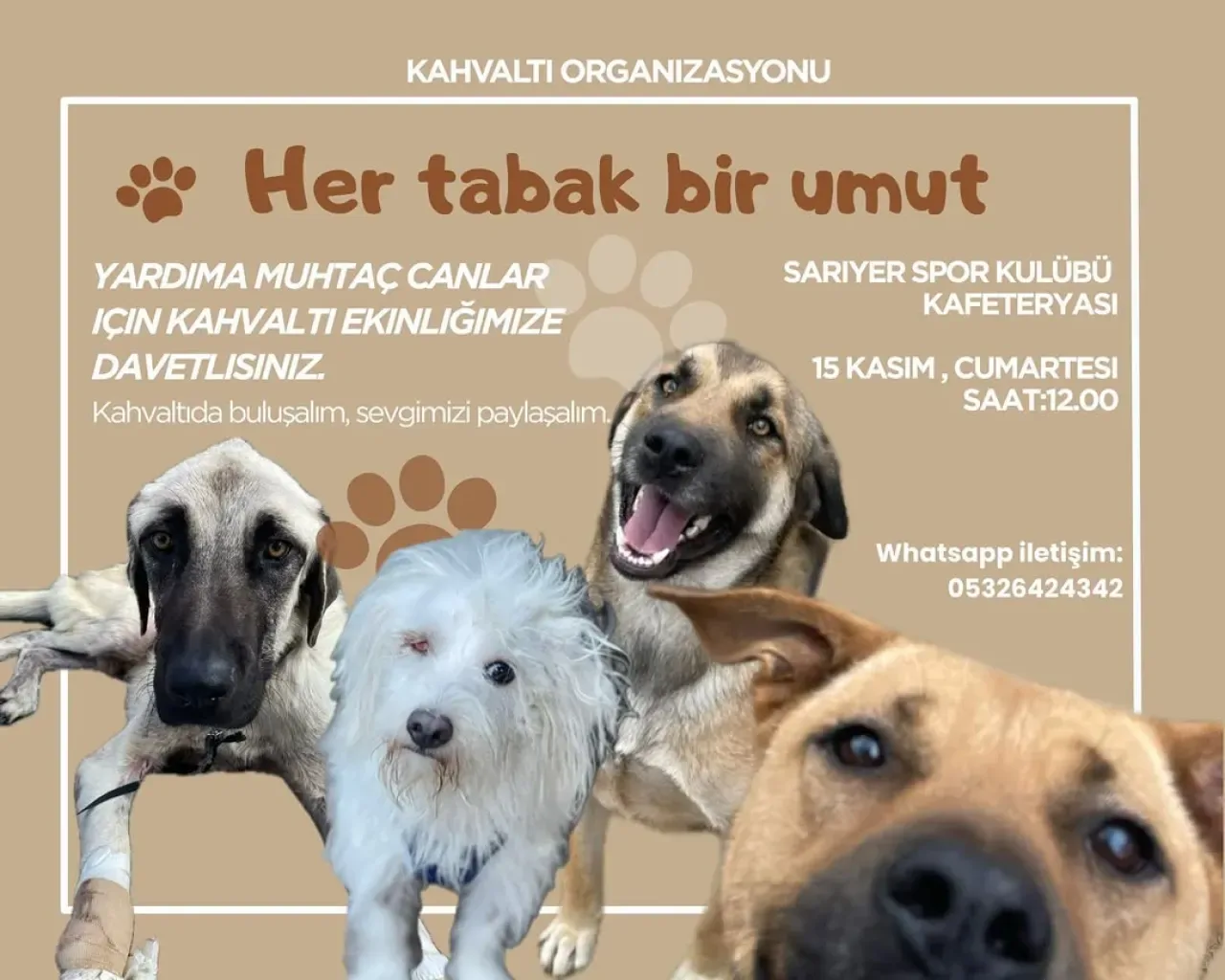 Sarıyer'de Sokak Hayvanlarını Koruma ve Sahiplendirme Çalışmaları Başladı Sarıyer'de Sokak Hayvanlarını Koruma ve Sahiplendirme Çalışmaları Başladı