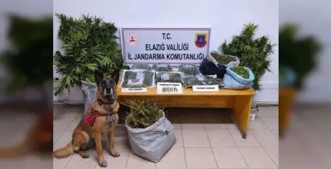 Elazığ'da uyuşturucu operasyonu: 3 şüpheli tutuklandı, 1 serbest bırakıldı