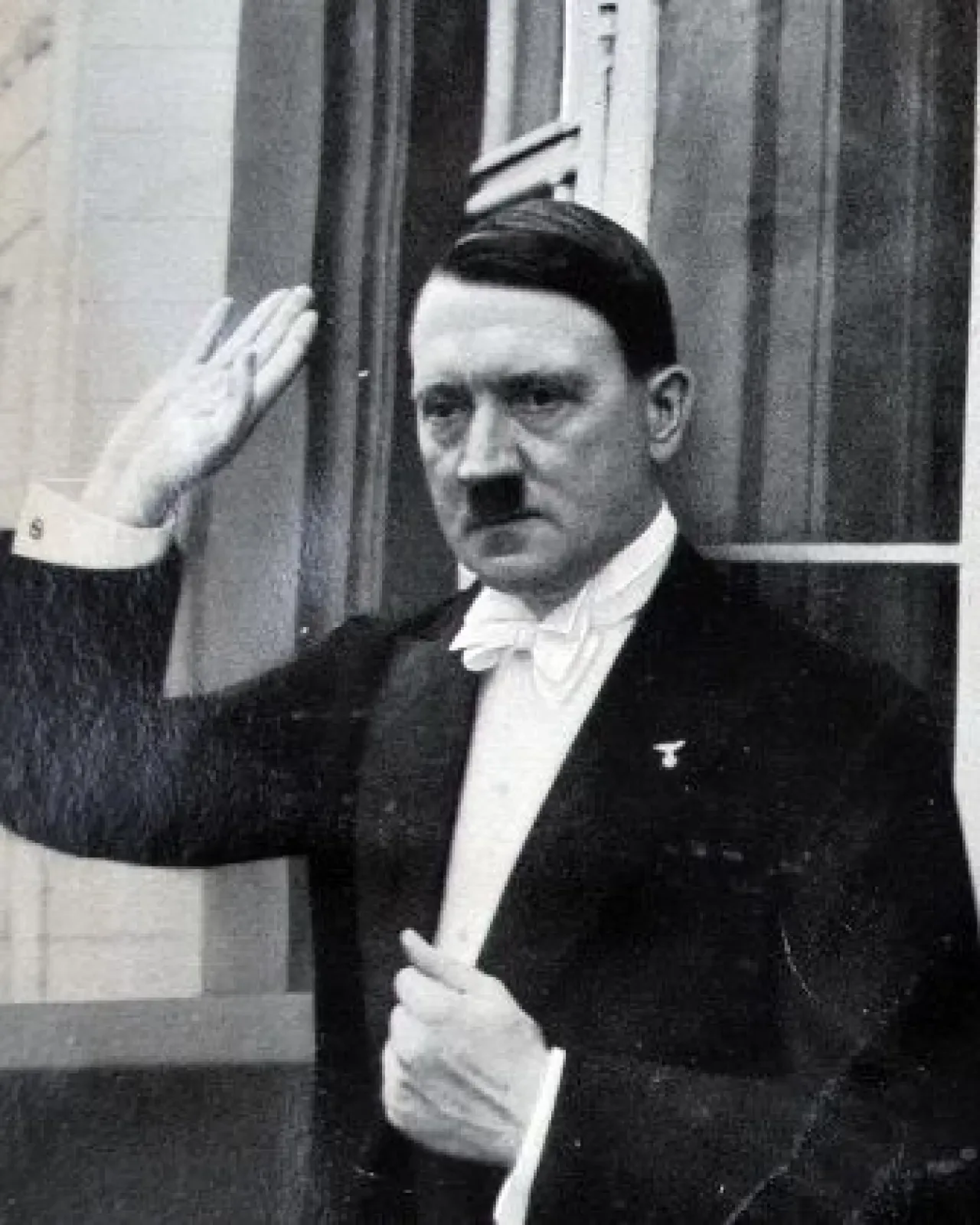 Hitler'in DNA Analizi: Mikropenis, Tek Testis ve Genetik Yatkınlık İddiaları Hitler'in DNA Analizi: Mikropenis, Tek Testis ve Genetik Yatkınlık İddiaları