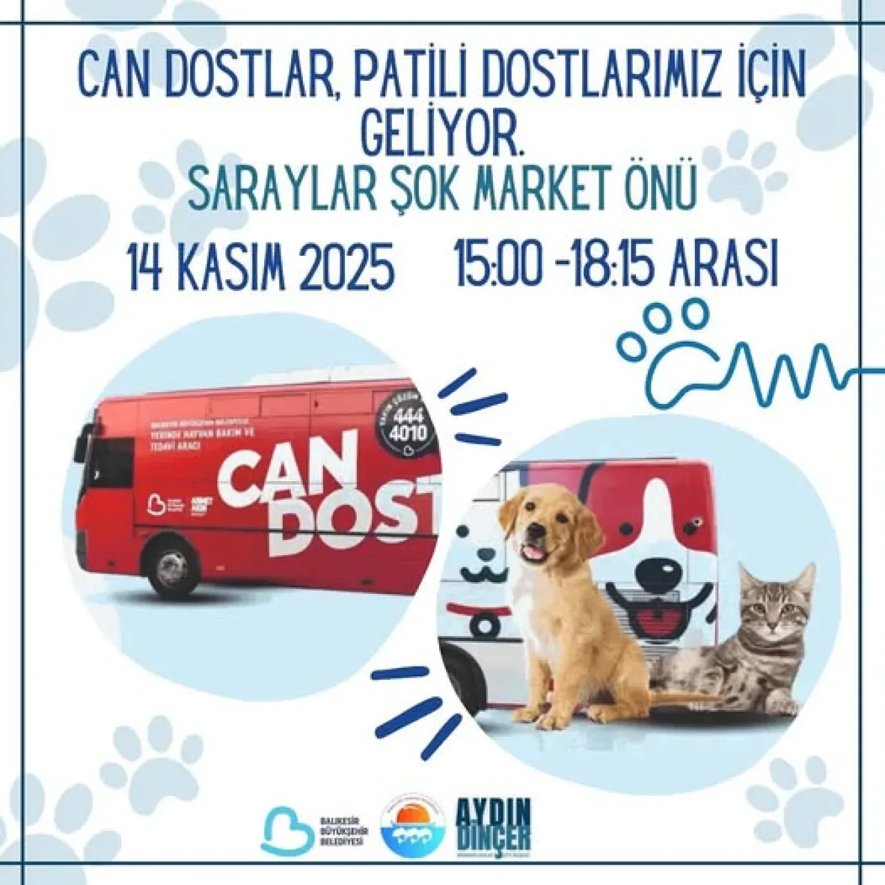 Marmara Adalar'da Sokak Hayvanları İçin Aşılama ve Bakım Seferberliği Marmara Adalar'da Sokak Hayvanları İçin Aşılama ve Bakım Seferberliği