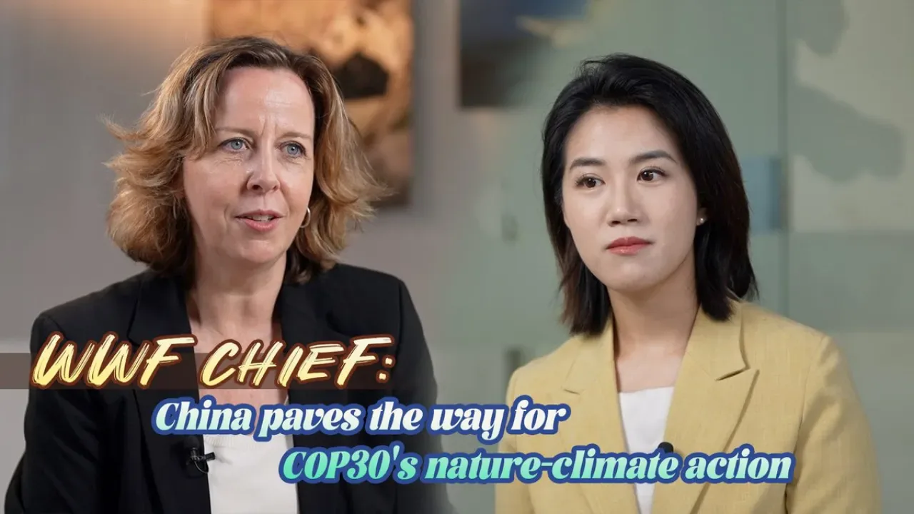 WWF Başkanı: Çin, COP30 Doğa Temelli İklim Eylemlerinin Önünü Açıyor WWF Başkanı: Çin, COP30 Doğa Temelli İklim Eylemlerinin Önünü Açıyor