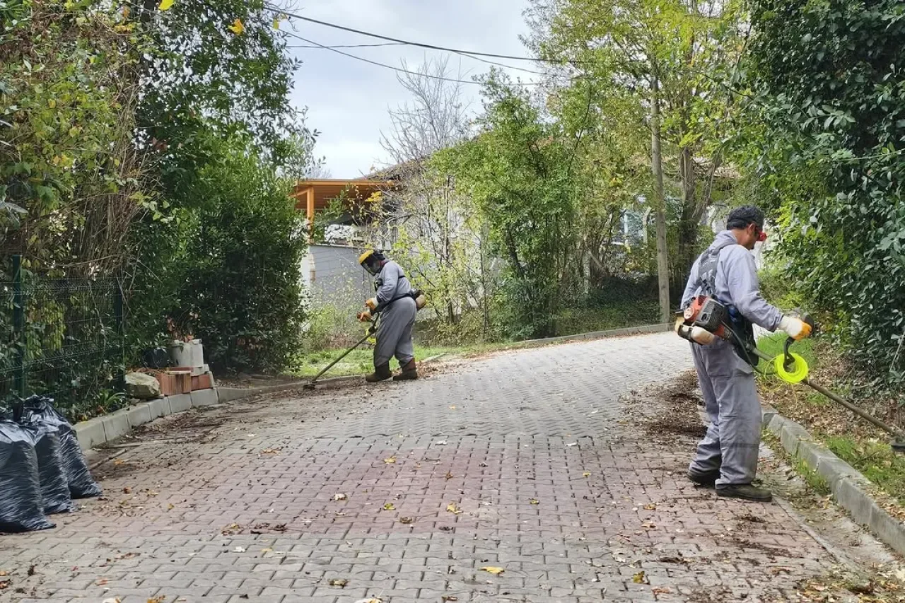 Şile'de Mahalle Temizliği Seferberliği Şile'de Mahalle Temizliği Seferberliği