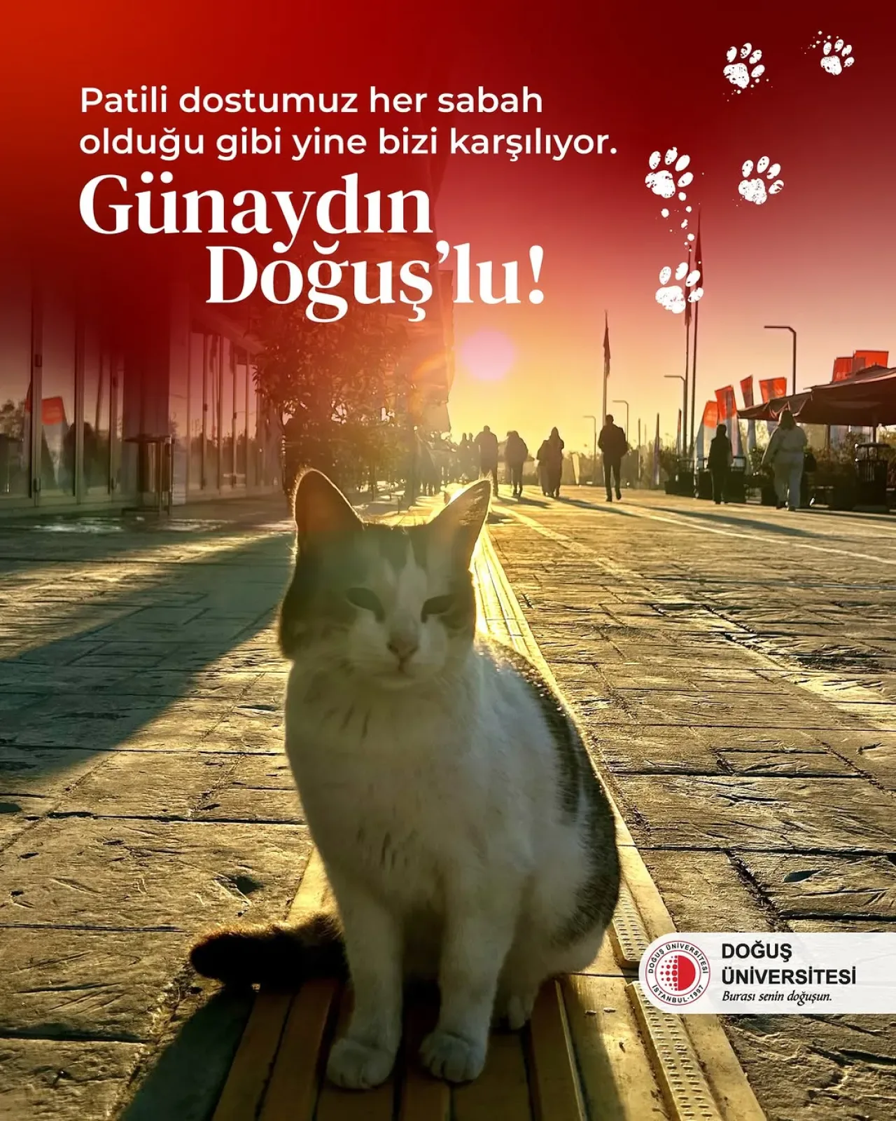 Doğuş Üniversitesi'nde Vize Haftasında Kampüsün Sakin Üyesi Öğrencilere Motivasyon Oldu Doğuş Üniversitesi'nde Vize Haftasında Kampüsün Sakin Üyesi Öğrencilere Motivasyon Oldu