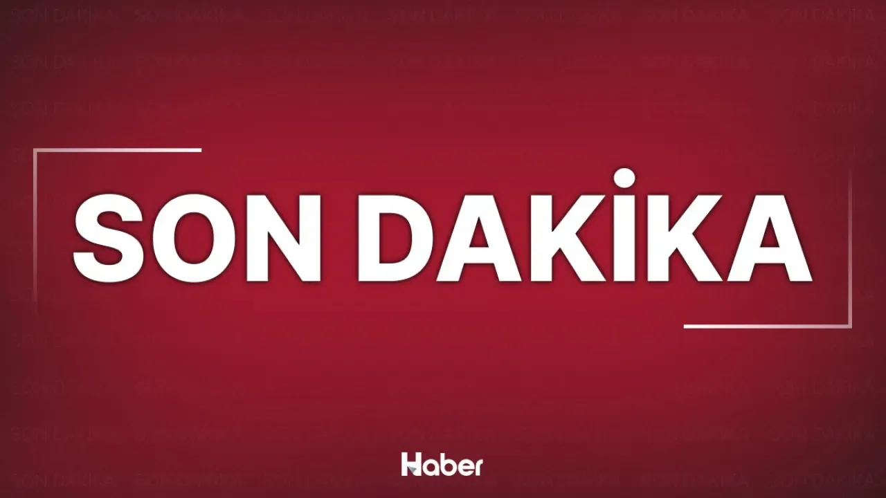 İstanbul'da 4 Şirkete Uyuşturucu Sevkiyatı İddiasıyla Kayyum Atandı | 7 Ton Madde Ele Geçirildi İstanbul'da 4 Şirkete Uyuşturucu Sevkiyatı İddiasıyla Kayyum Atandı | 7 Ton Madde Ele Geçirildi