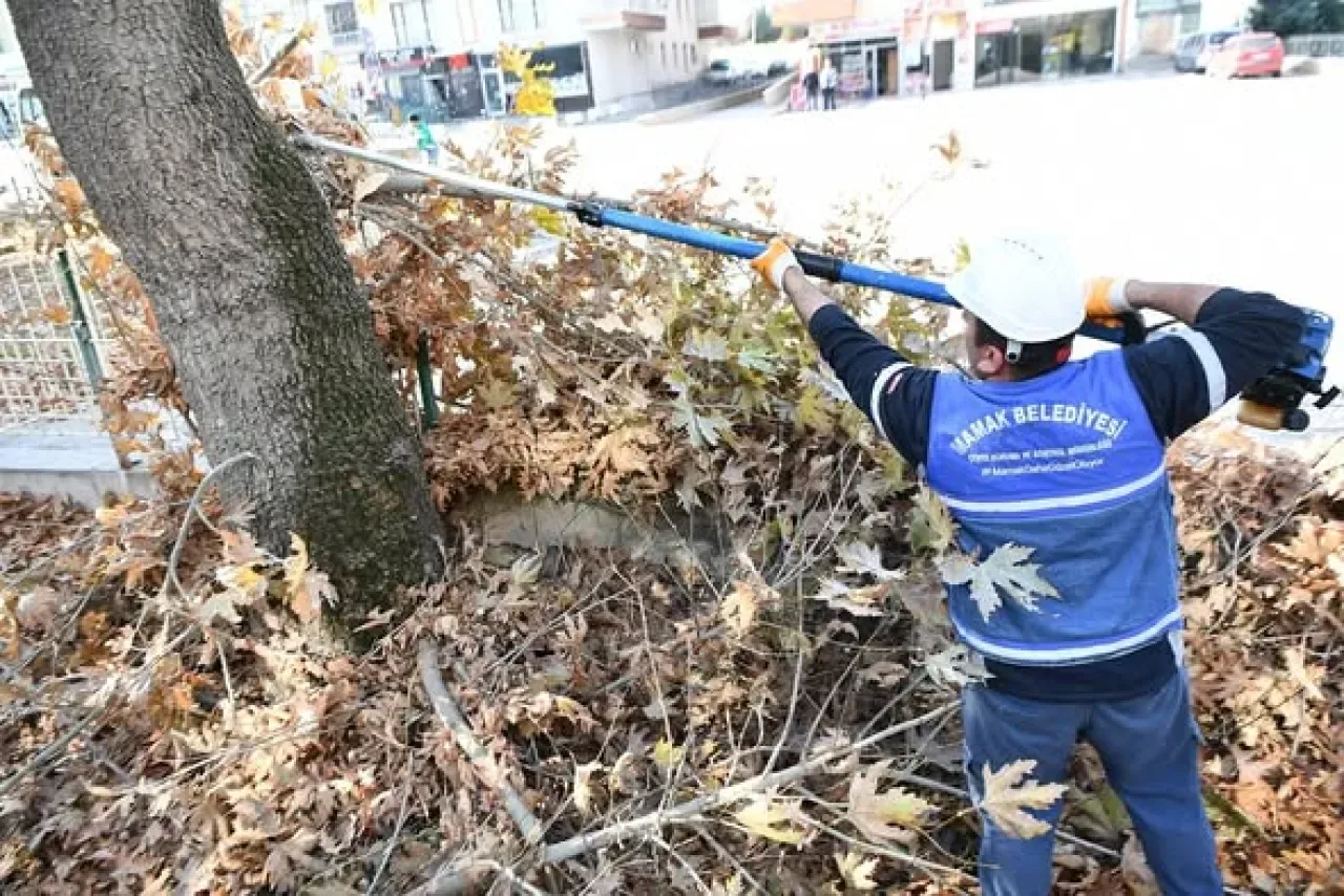 Mamak Belediyesi Kış Hazırlıkları Kapsamında Ağaç Budama Çalışmalarını Sürdürüyor Mamak Belediyesi Kış Hazırlıkları Kapsamında Ağaç Budama Çalışmalarını Sürdürüyor