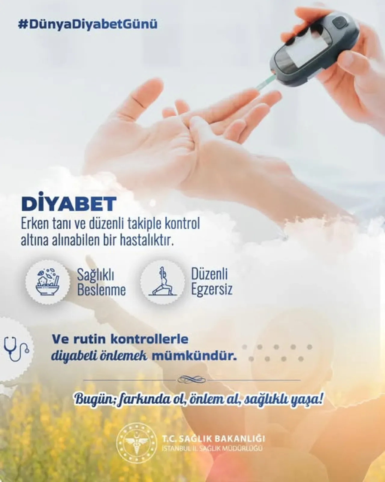 İstanbul'da Diyabetle Mücadele: Erken Tanı ve Sağlıklı Yaşamın Önemi Vurgulandı İstanbul'da Diyabetle Mücadele: Erken Tanı ve Sağlıklı Yaşamın Önemi Vurgulandı