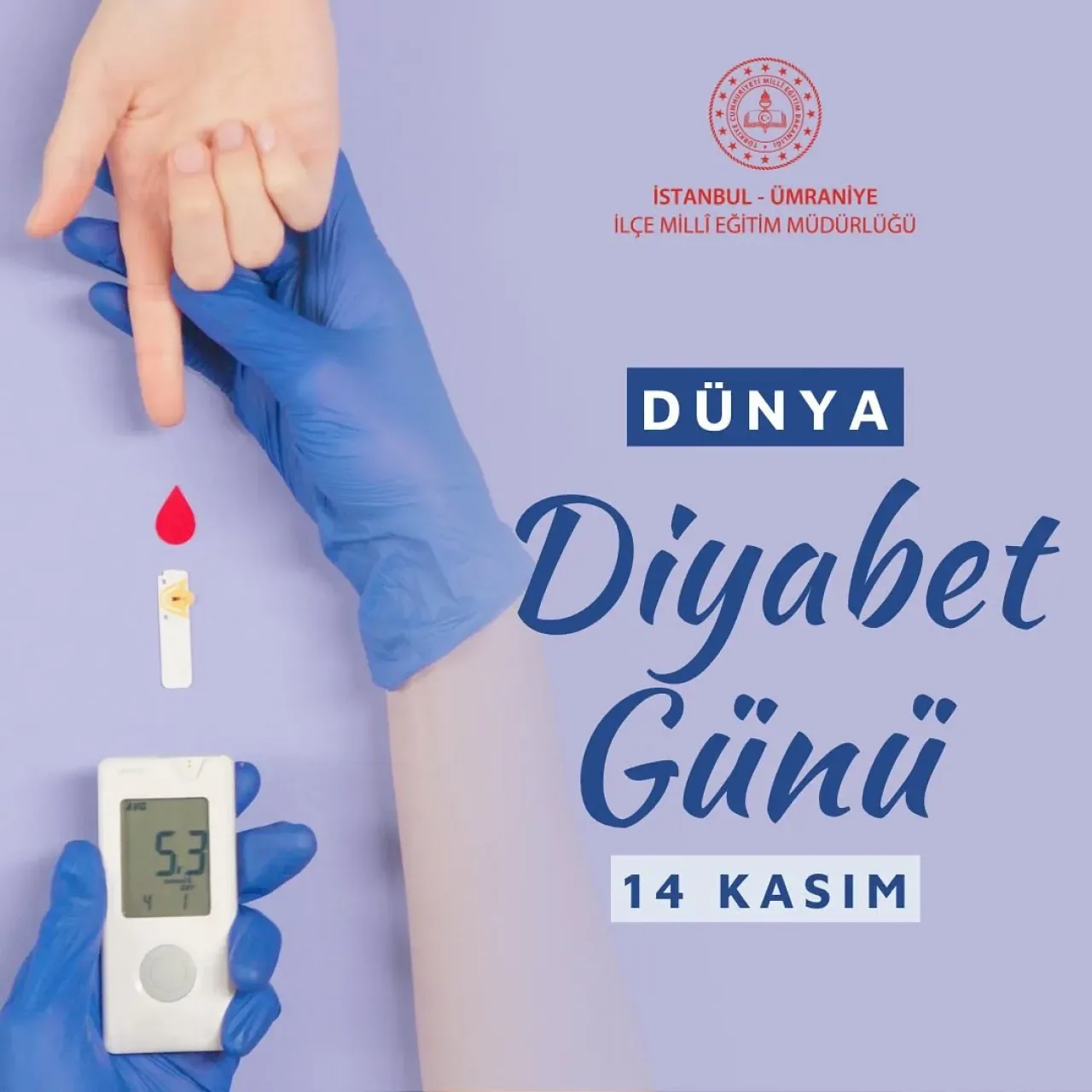 Ümraniye'de Dünya Diyabet Günü'nde Farkındalık Etkinlikleri Düzenlendi Ümraniye'de Dünya Diyabet Günü'nde Farkındalık Etkinlikleri Düzenlendi