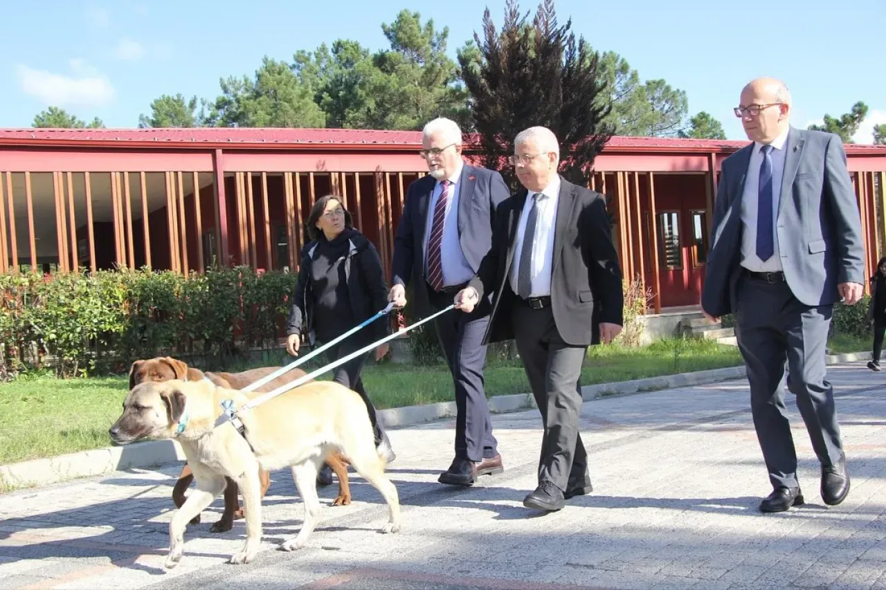 İBB Yöneticilerinden Tepeören Bakımevi Ziyareti ve Anlamlı Sahiplenme İBB Yöneticilerinden Tepeören Bakımevi Ziyareti ve Anlamlı Sahiplenme