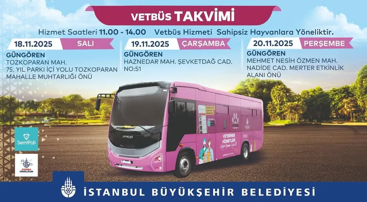İBB Veteriner Hizmetleri, Güngören'de Sahipsiz Hayvanlar İçin Ücretsiz Sağlık Taraması Yapacak İBB Veteriner Hizmetleri, Güngören'de Sahipsiz Hayvanlar İçin Ücretsiz Sağlık Taraması Yapacak
