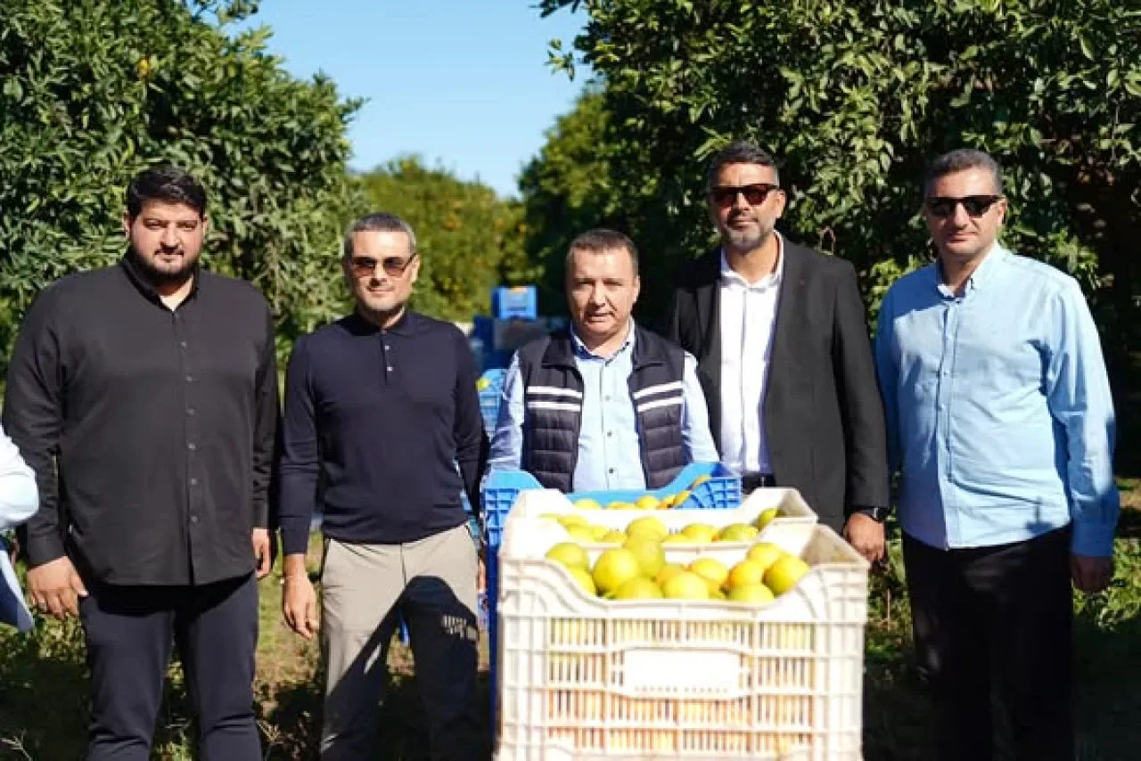 Finike'de Portakal Hasadına Katılım Finike'de Portakal Hasadına Katılım